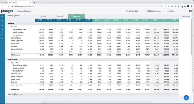 financial forecasting software planguru