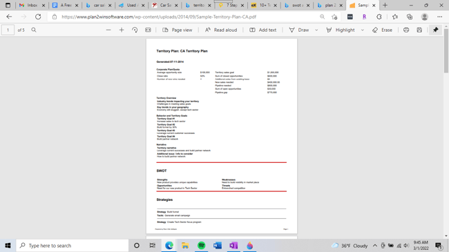 Individual Business Plan Examples for Sales Reps: Territory Business Plan