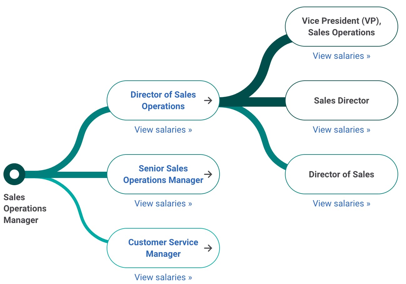 Sales director, potential career path for a Sales Operations Manager from PayScale