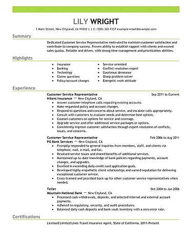 best customer service resume example mid level