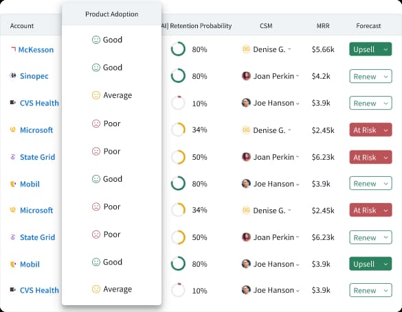 customer success tools: customer success box